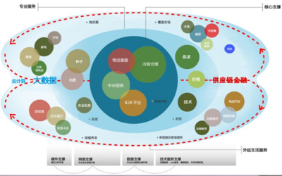 应用互联网技术赋能传统农产品批发市场